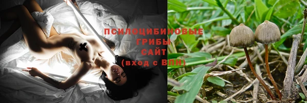 каннабис Майский