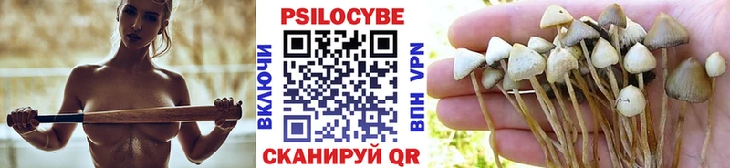 Галлюциногенные грибы Psilocybine cubensis  ОМГ ОМГ зеркало  Норильск  цена наркотик 