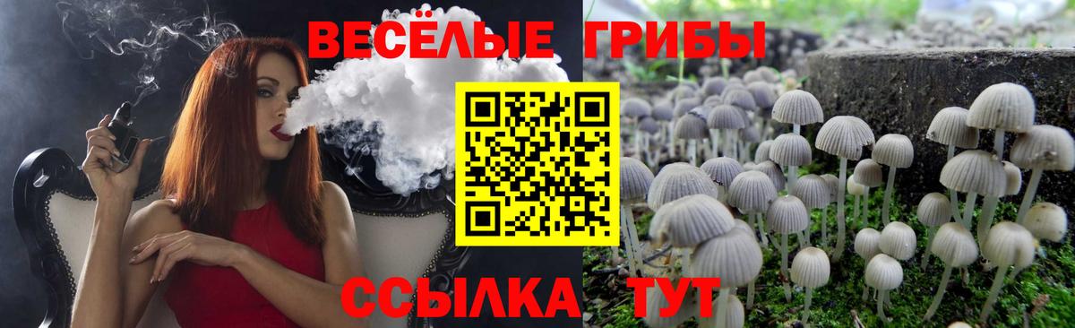Норильск  Галлюциногенные грибы ЛСД  магазин    Вход с VPN  Псилоцибиновые грибы Psilocybine cubensis 